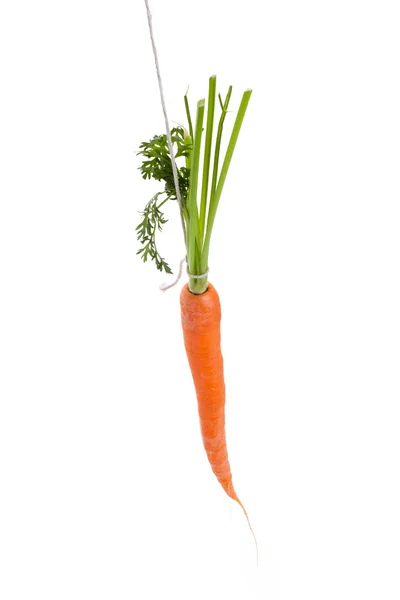 Розмовляючи морква — стокове фото