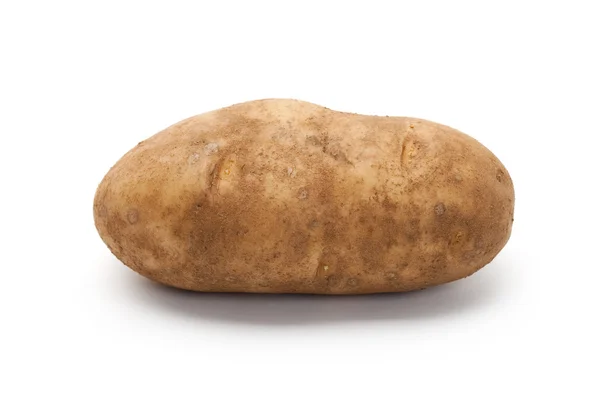 Розсаду картоплі — стокове фото