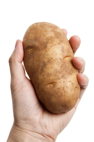 Rödbrun potatis — Stockfoto