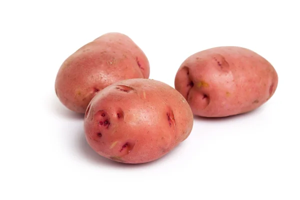 Rode aardappelen — Stockfoto
