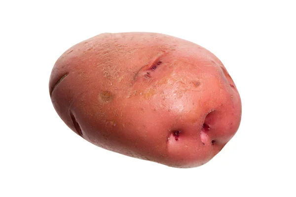 Rode aardappel — Stockfoto