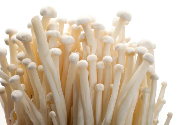 Golden needle mushroom — Stock Photo, Image