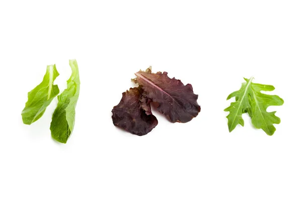 Vegetabiliska blad — Stockfoto