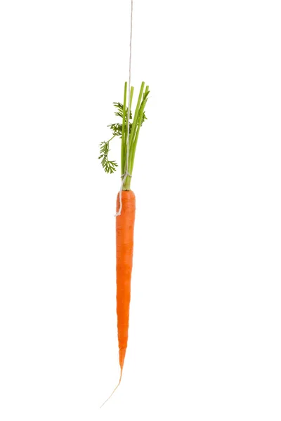 摇摇欲坠的胡萝卜 — 图库照片