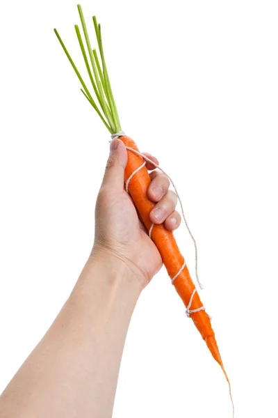 字符串和胡萝卜 — 图库照片