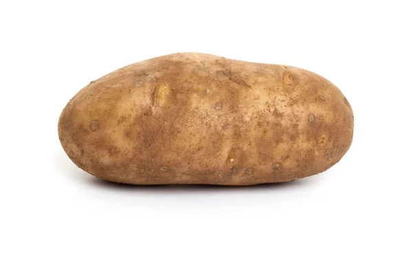 Розсаду картоплі — стокове фото