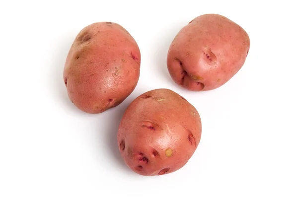 Красная картошка — стоковое фото