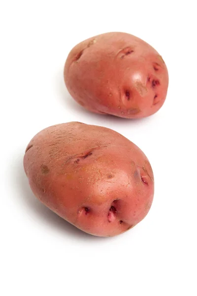 Červené brambory — Stock fotografie