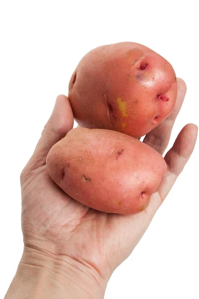Rode aardappelen — Stockfoto