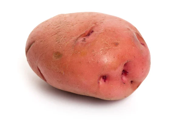 Красный картофель — стоковое фото