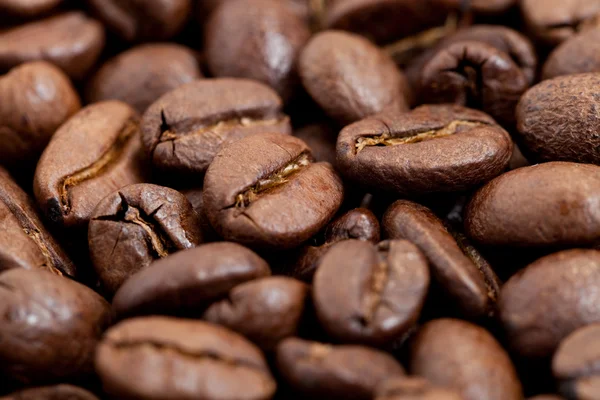Kaffe bean — Stockfoto