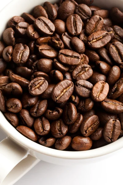 Koffie bean — Stockfoto