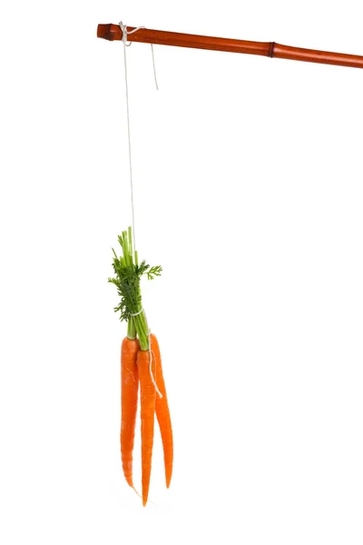 Розмовляючи морква — стокове фото