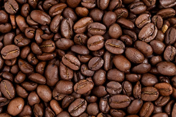 Grano de café —  Fotos de Stock