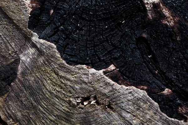 Verbrand hout — Stockfoto