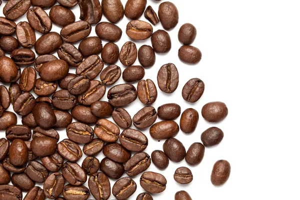 Coffee Bean — Stock Photo, Image
