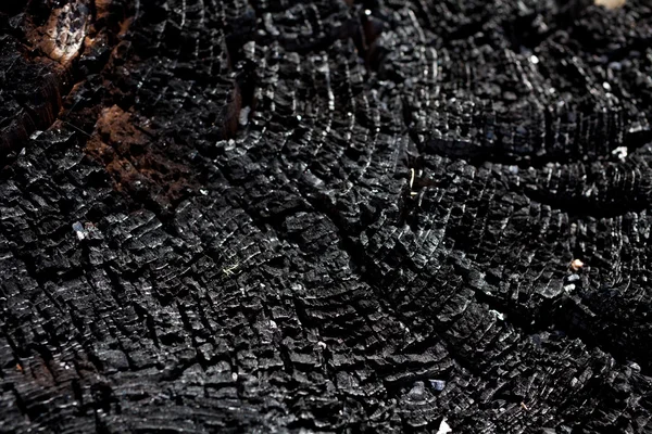 Madera quemada — Foto de Stock