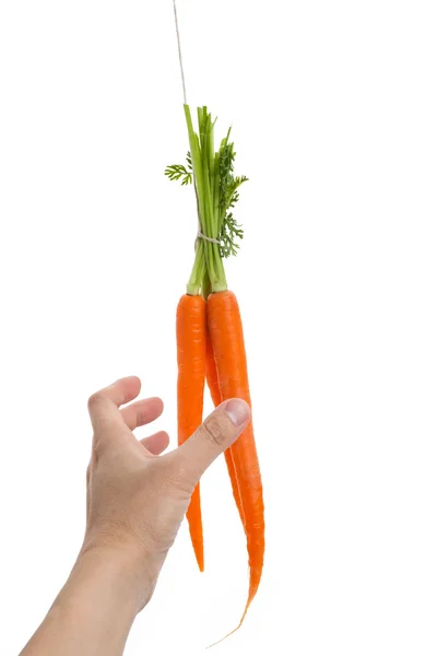 Dangling carrot — Stock Photo, Image