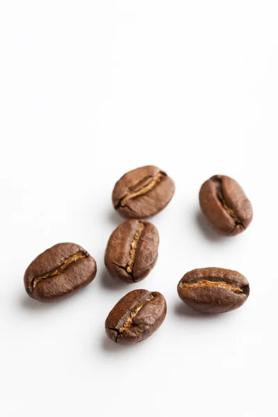 Kávové zrno — Stock fotografie