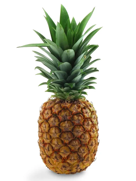 stock image The pineapple.