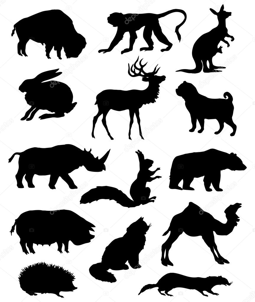 Silhouette animals.