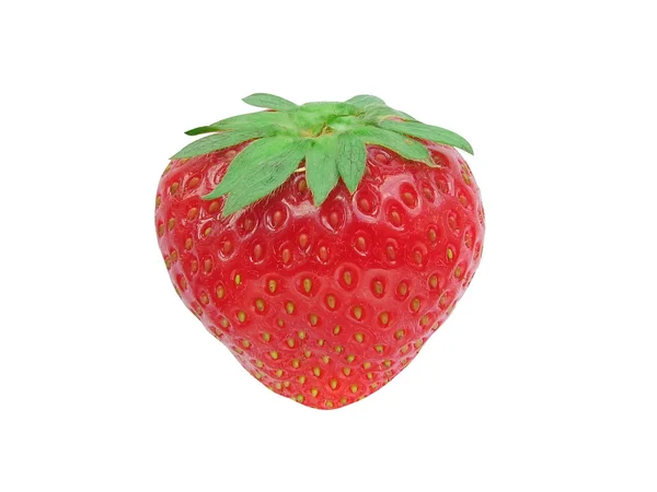 Reife Erdbeere. — Stockfoto