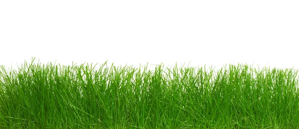 Grönt gräs. — Stockfoto