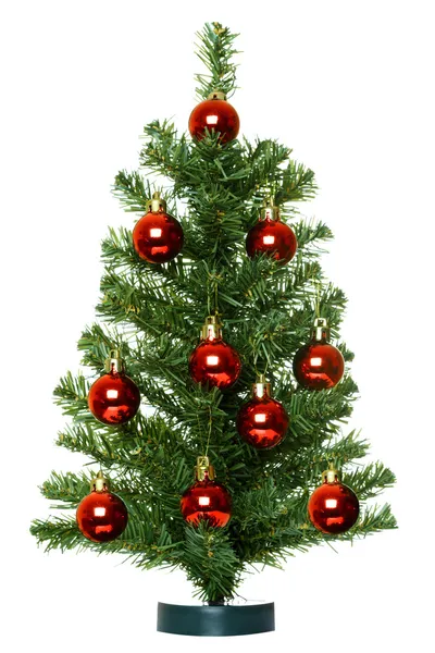 Vánoční stromek. — Stock fotografie