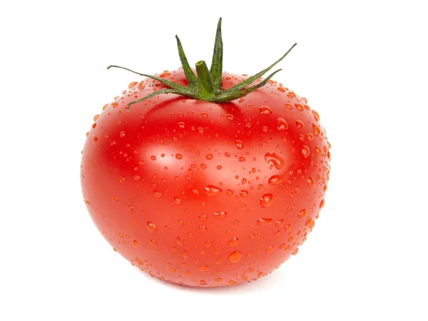 Dojrzały pomidor. — Zdjęcie stockowe