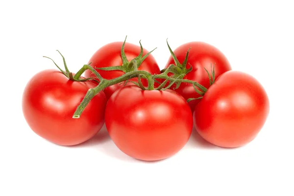Vinstockar-mogna tomater. — Stockfoto