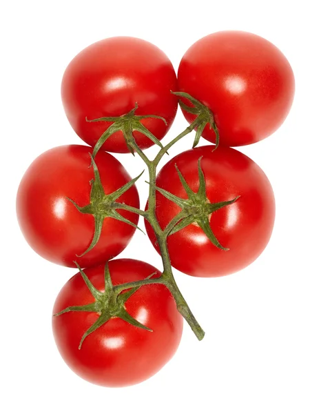 Tomates maduros de videira . — Fotografia de Stock