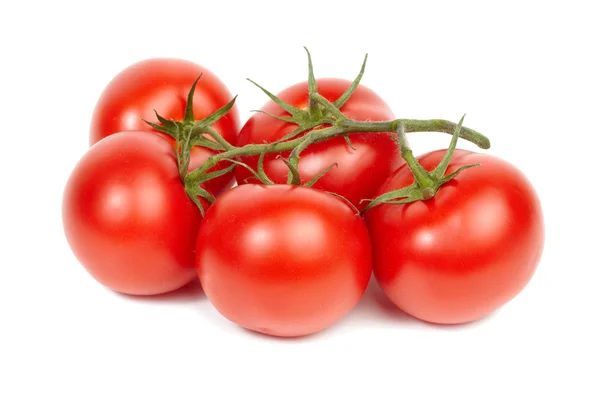 Weinreife Tomaten. — Stockfoto