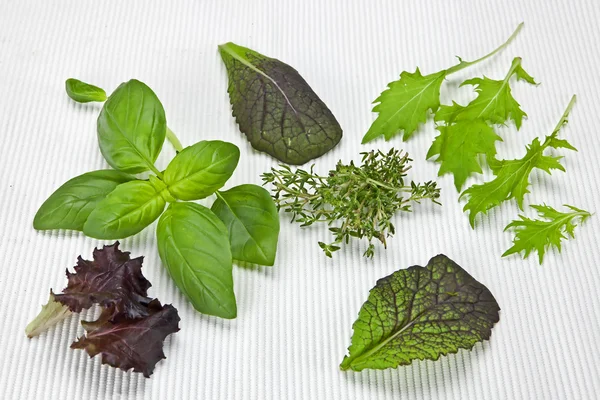 Verts à salade et épices Photos De Stock Libres De Droits
