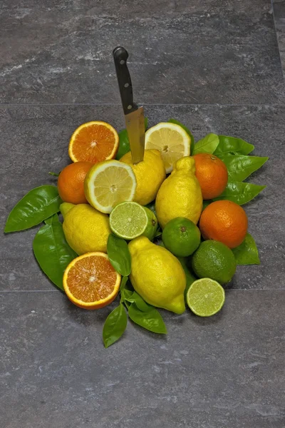 Citrus fruits with knife — Stock Photo, Image