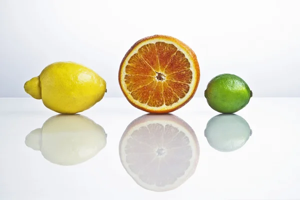 stock image Citrus fruits