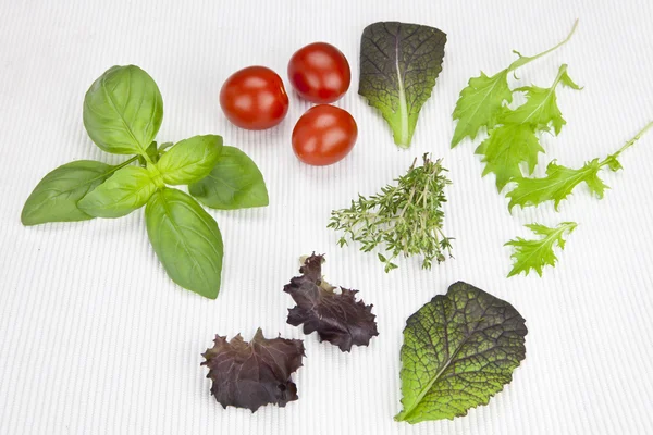 stock image Lettuce and herbs