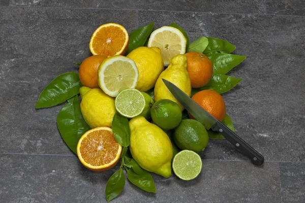 Citrus fruits with knife — Stock Photo, Image