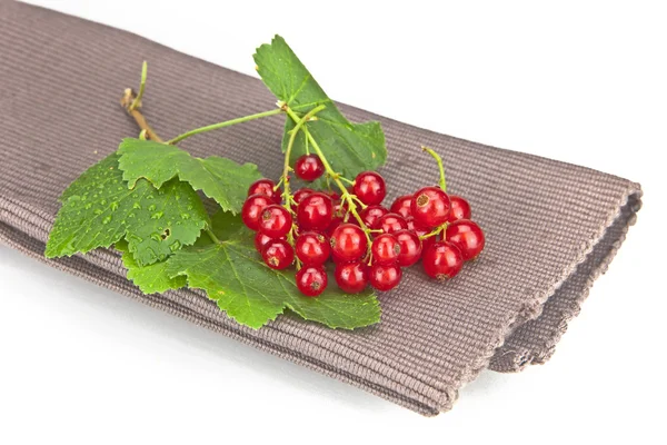 Currants Stock Picture