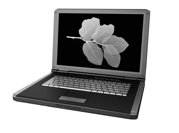 Czarno -szary laptopa na białym tle — Zdjęcie stockowe
