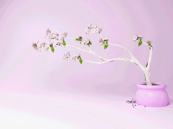 花序で優雅な枝 — ストック写真
