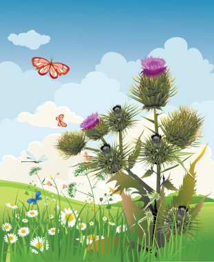 Thistle clipart