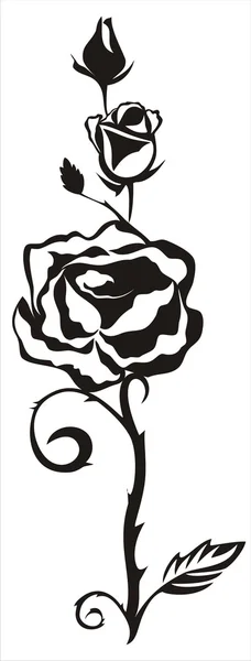 Vector ornament met zwarte decoratieve rose bloem — Stockvector