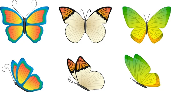 Pillangó Stock Illusztrációk