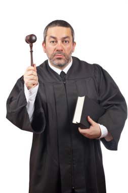 Judge holding the gavel and book clipart