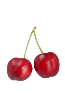 Two cherries on white background clipart