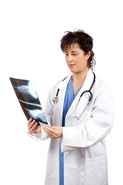 Médica examinando raio-X — Fotografia de Stock
