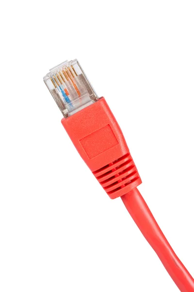 Мережний кабель комп'ютера — стокове фото