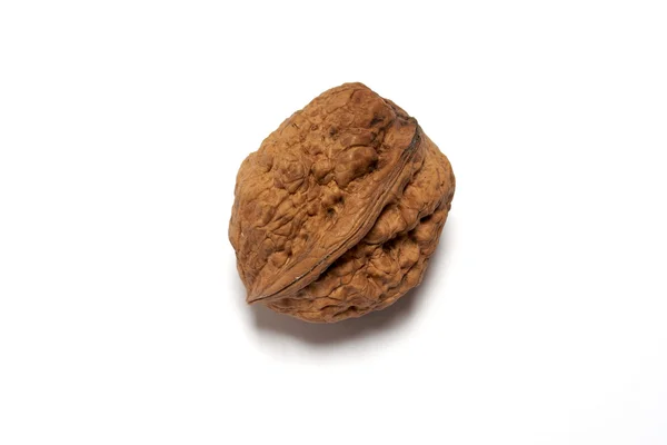 Сухофрукты из орехов — стоковое фото