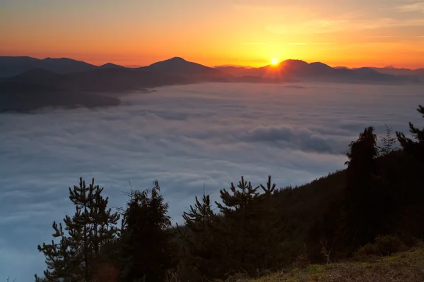 Sunrise over the fog — Stock Photo, Image