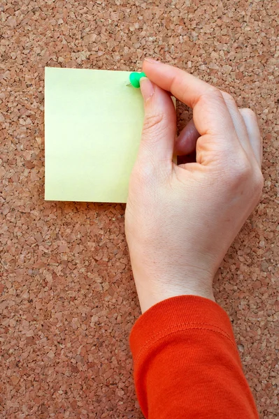 Placing note in the cork board — Stock Photo, Image